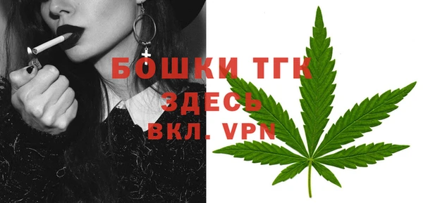 мдпв Бронницы