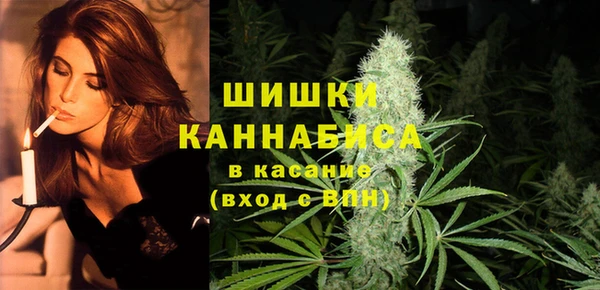 трава Бородино