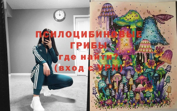 мдпв Бронницы