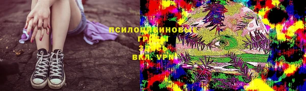 мдпв Бронницы