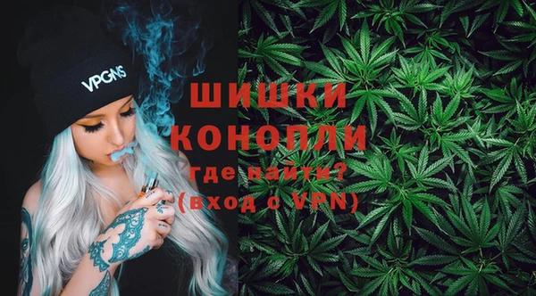 трава Бородино
