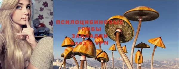 трава Бородино