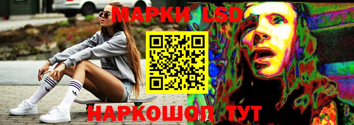 МЕФ Свободный