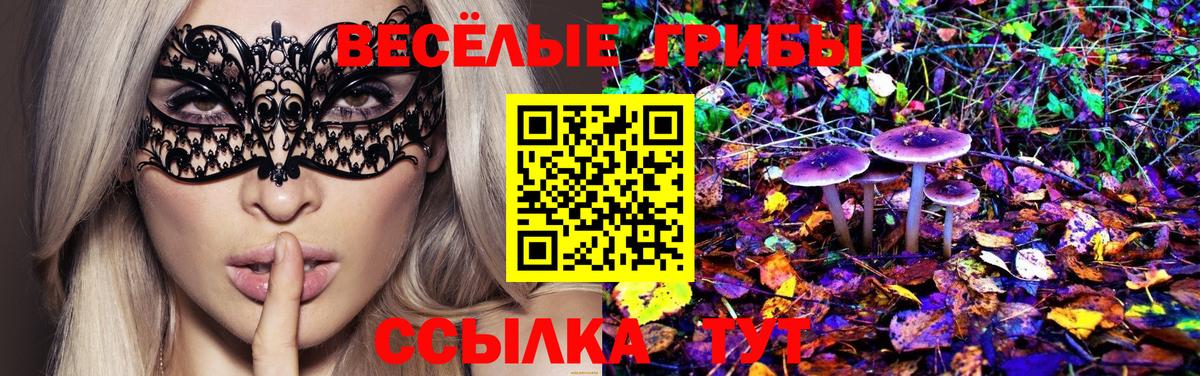 Псилоцибиновые грибы MAGIC MUSHROOMS  Вход с VPN  Галлюциногенные грибы мицелий  Свободный 
